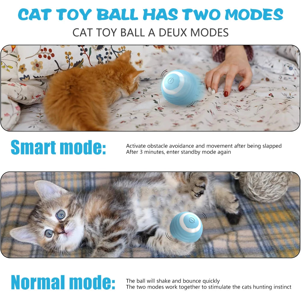 Cat Interactive Ball Electric