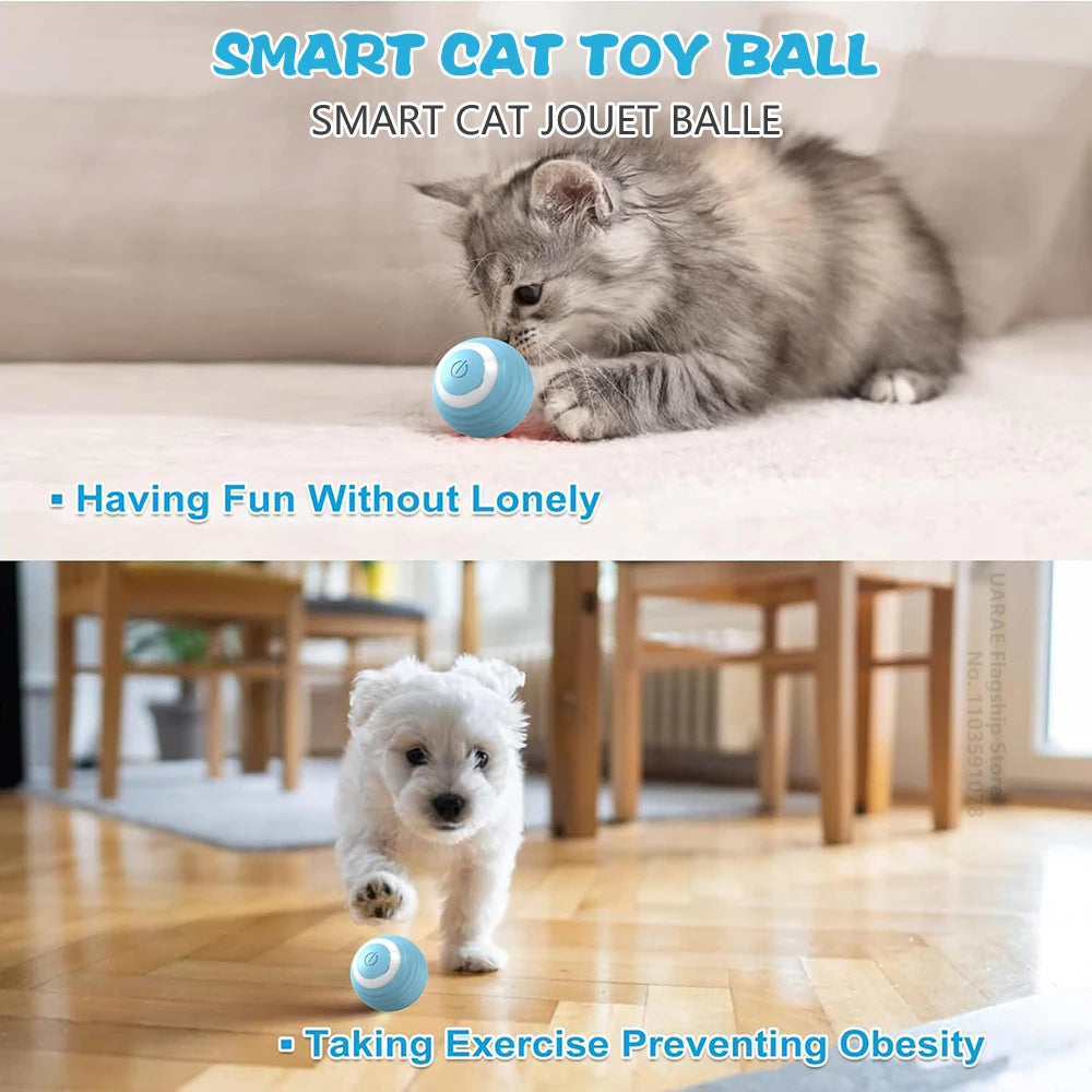 Cat Interactive Ball Electric